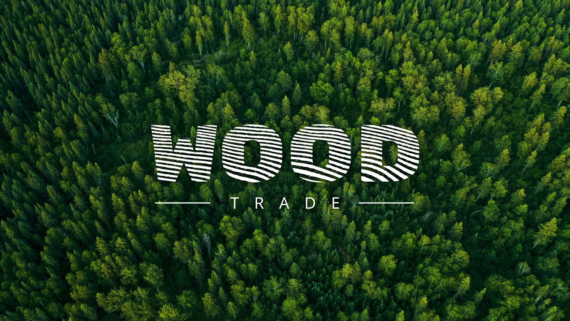 Разработка интернет-магазина компании «Wood Trade» в Обояне